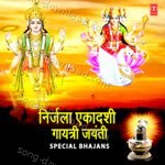 Nirjala Ekadashi, Gayatri Jayanti Special Bhajans - Various Artists Song Download